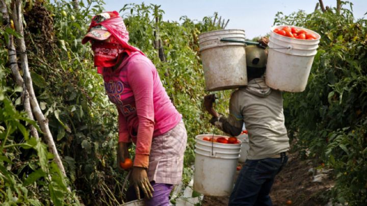 México negociará con EU para frenar propuesta de arancel del 10% por trabajo forzoso
