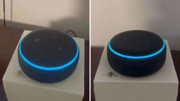 ‘Respiraciones y voces guturales’: Usuario reporta extraño comportamiento de Alexa