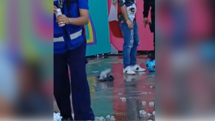 ¿Se pasó de copas? Captan a paloma "borracha" durante los festejos del Mundial en Guadalajara