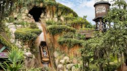 Adolescente cae desde altura de 15 metros en atracción de Disneyland