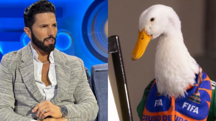 Poncho de Nigris ofrece medio millón de pesos por Pato Merlín; lo quiere para Ring Royale