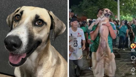 Joven se reencuentra con su perrita perdida tras verla ‘festejando’ triunfo de México