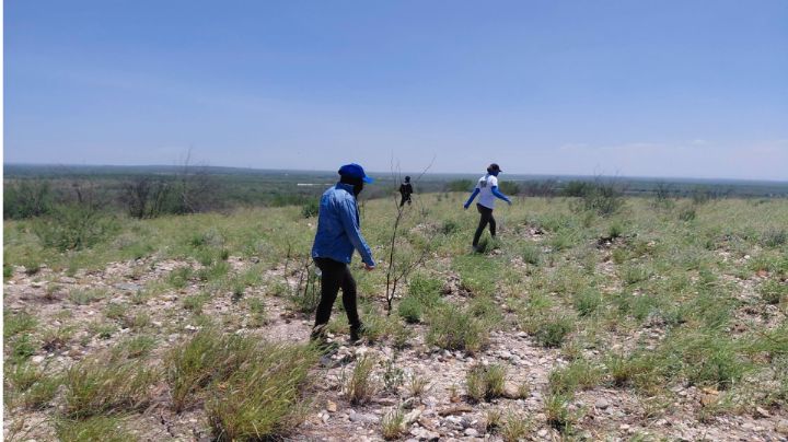 Colectivo encuentra restos calcinados en rancho de Dr. Coss