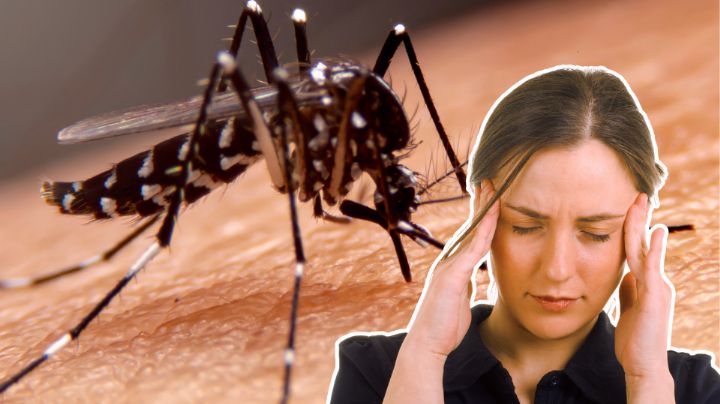 ¿Cuáles son los síntomas del dengue? Estos son las señalas de alerta que debes conocer
