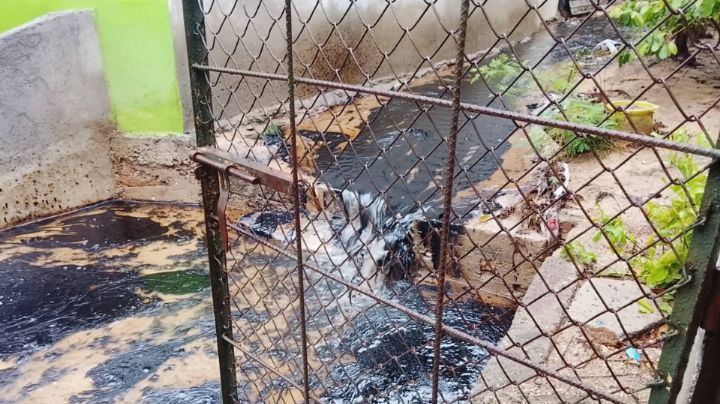 Pemex atiende fuga de combustóleo en Salina Cruz tras el paso de 'Boris' en Oaxaca