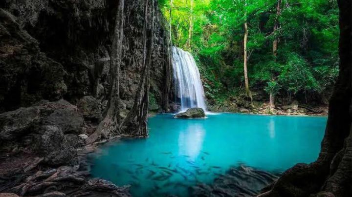 Seduma alista nuevo plan para regular el turismo en la Reserva de la Biósfera El Cielo
