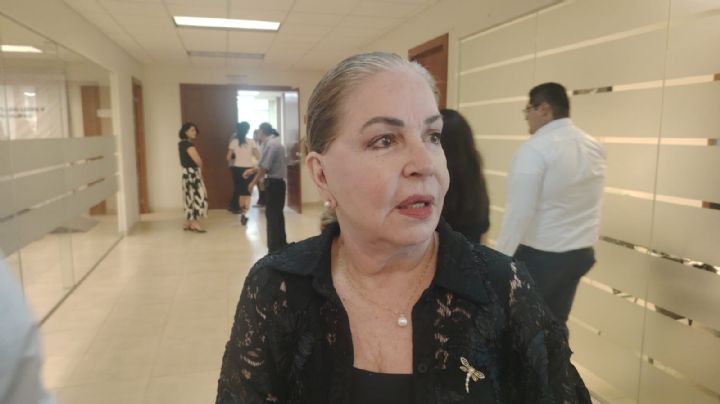 PRI necesita candidatos competitivos y con dinero para enfrentar a Morena en 2027