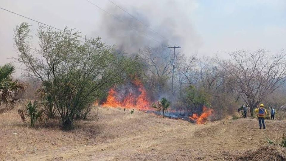 Reporta Protección Civil 16 incendios forestales en Tamaulipas