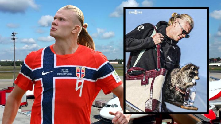 VIDEO | Erling Haaland regresa a Noruega con un mapache disecado y causa furor en redes