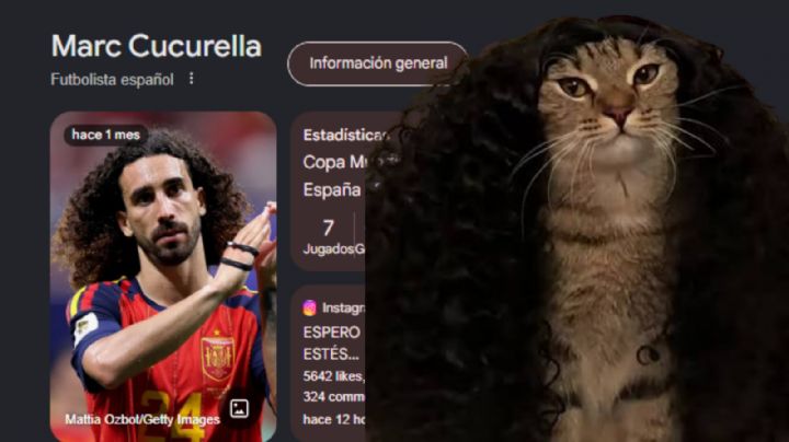 Google rinde un homenaje a Cucurella con un guiño al meme del gato en el buscador