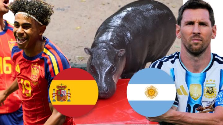 VIDEO | El hipopótamo viral tailandés da su pronóstico para la Final del Mundial 2026