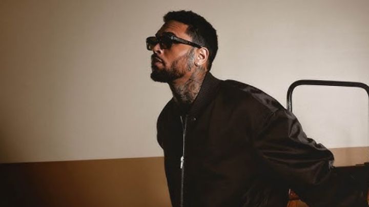 Chris Brown deberá pagar 13 millones de dólares tras ataque de su perro a empleada