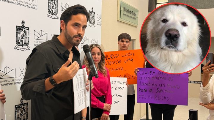 Proponen endurecer penas por maltrato animal en Nuevo León