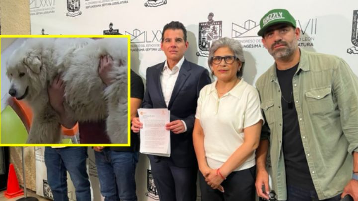 Proponen en NL la 'Ley Rocky' para castigar hasta con 12 años de prisión el maltrato animal