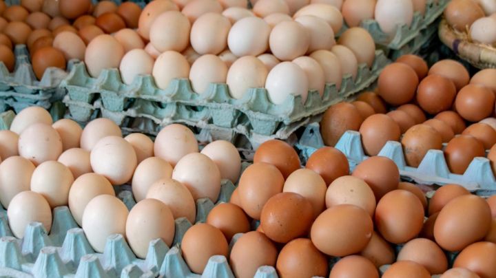 EU retira más de un millón de docenas de huevos por riesgo de salmonela