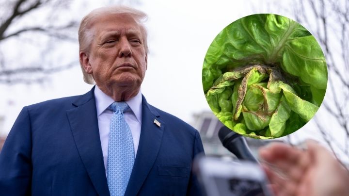 Amenaza Trump con imponer 'gran arancel' a México por lechugas contaminadas