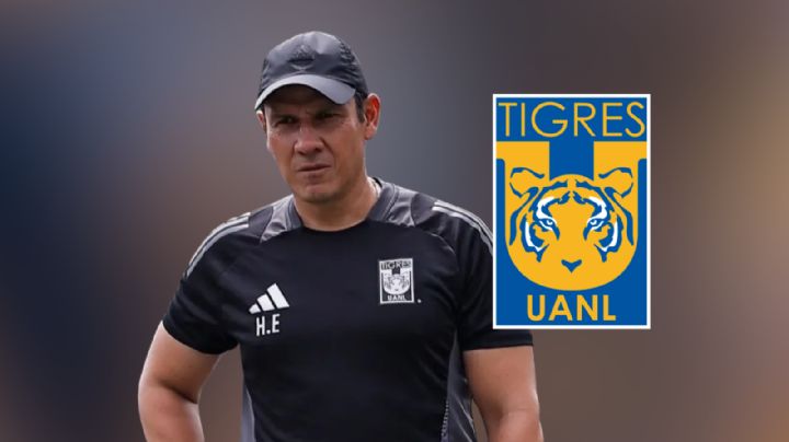 ¿Quién es Hernán Elizondo el nuevo DT interino de Tigres?