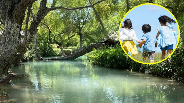 Tres niños y una intensa búsqueda: ¿Qué fue lo que ocurrió en un paraje de Bustamante?