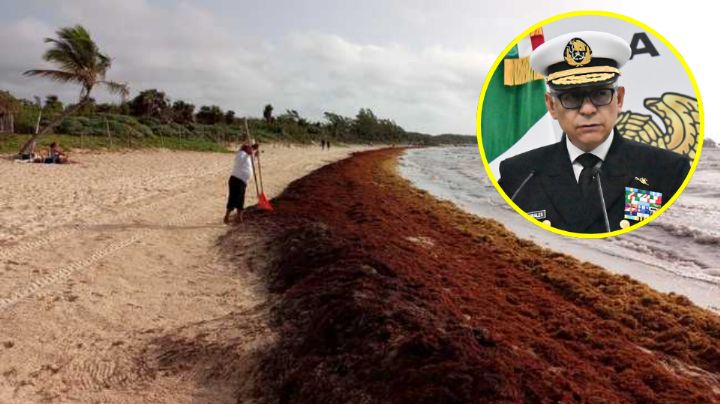 México invertirá 2 mil 635 mdp contra el sargazo en aguas del Caribe