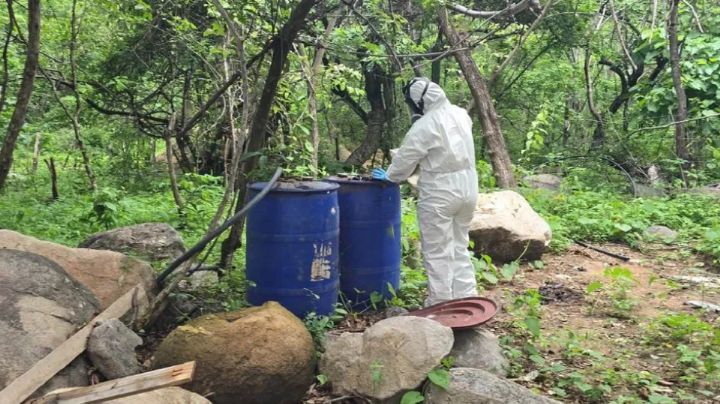 Marina localiza y destruye tres laboratorios clandestinos de drogas sintéticas en Sinaloa