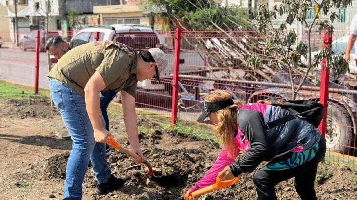 Suma Escobedo 26 mil árboles plantados y va por 30 mil