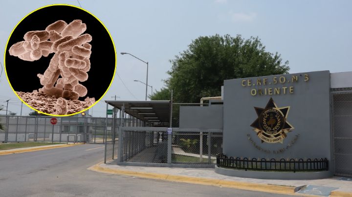 CEDHNL detecta fallas médicas y omisiones en atención de tuberculosis en penales de NL