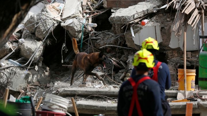 Suman 265 muertos por terremoto en Colombia