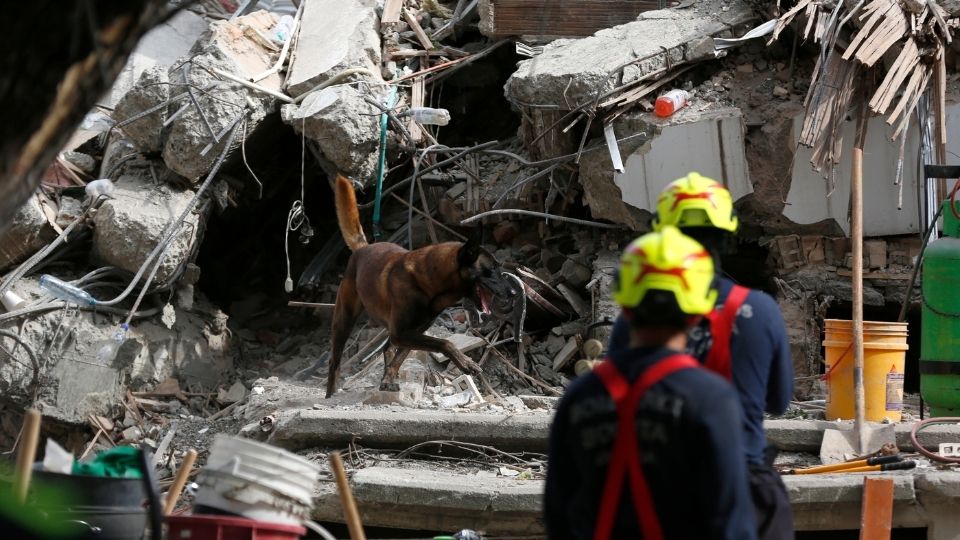 Suman 265 muertos por terremoto en Colombia