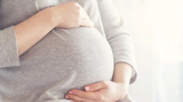EU crea un grupo de trabajo contra el "turismo de maternidad"
