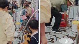 ¿Serpientes en el tren? El momento en que un vagón del metro se llenó de anguilas en China | VIDEO