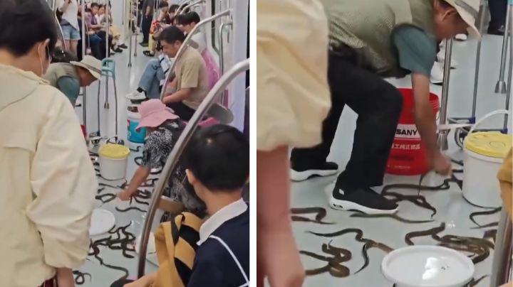 ¿Serpientes en el tren? El momento en que un vagón del metro se llenó de anguilas en China | VIDEO