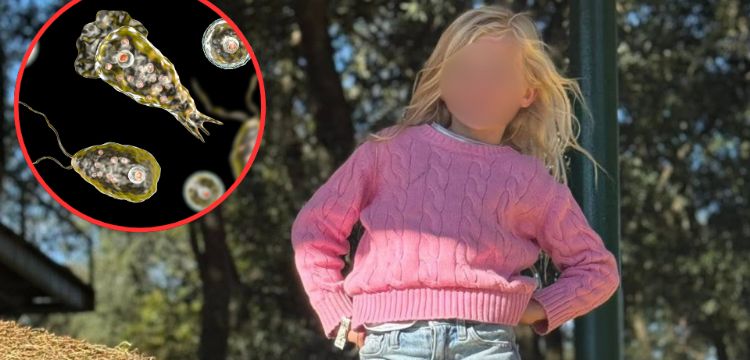 Muere niña de 8 años por una rara ameba ‘come cerebros’ en Luisiana