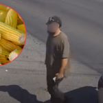 Exhiben a conductor de app por presunto robo de cargamento de elotes en Apodaca