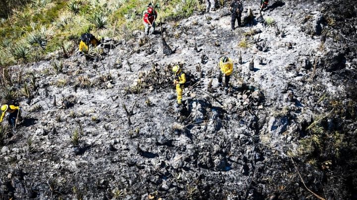 Combaten incendio en sierra de Hidalgo; controlan 80% del siniestro