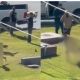Conductor intoxicado choca, huye y provoca muerte de adulto mayor