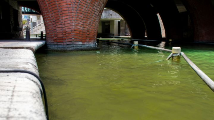 A punto de su aniversario 19, el Paseo Santa Lucía luce deteriorado, con agua verde y mal olor