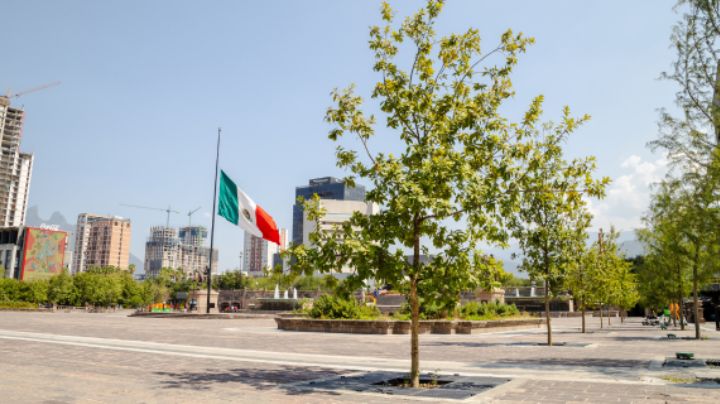 Desarrollos urbanos en NL pagan, pero no reforestan: advierten fallas en compensación ambiental