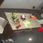 Buscan reubicar oso que entró a casa y atacó a hombre en San Pedro