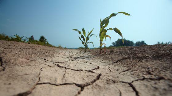 El Niño tomará fuerza en los próximos meses; advierten por sequías e inundaciones