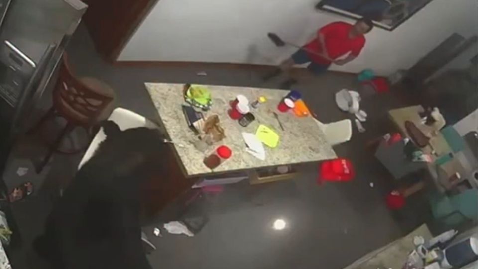 Oso observa a hombre que intentó ahuyentarlo con una escoba