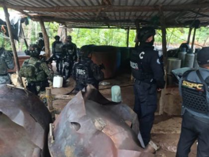 Decomisan más de 7 toneladas de químicos y desmantelan 3 laboratorios clandestinos en Guerrero